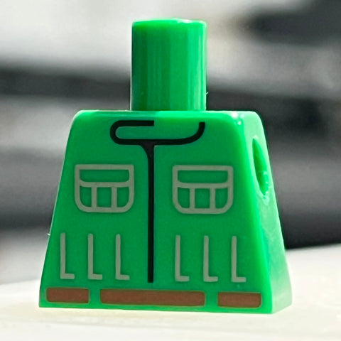 SW Engineer torso